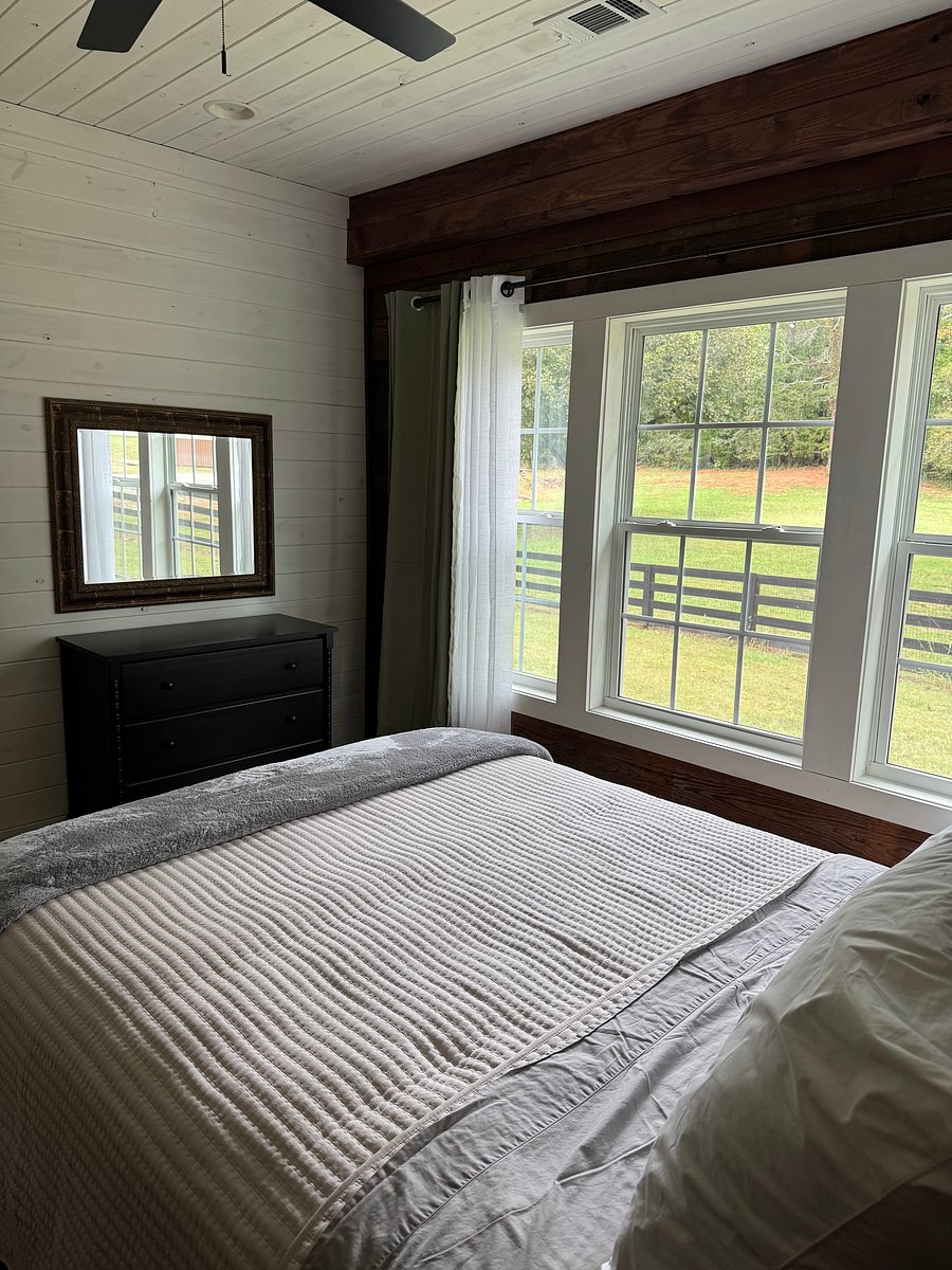 Furnished Finder property 1053072_1 photo 6