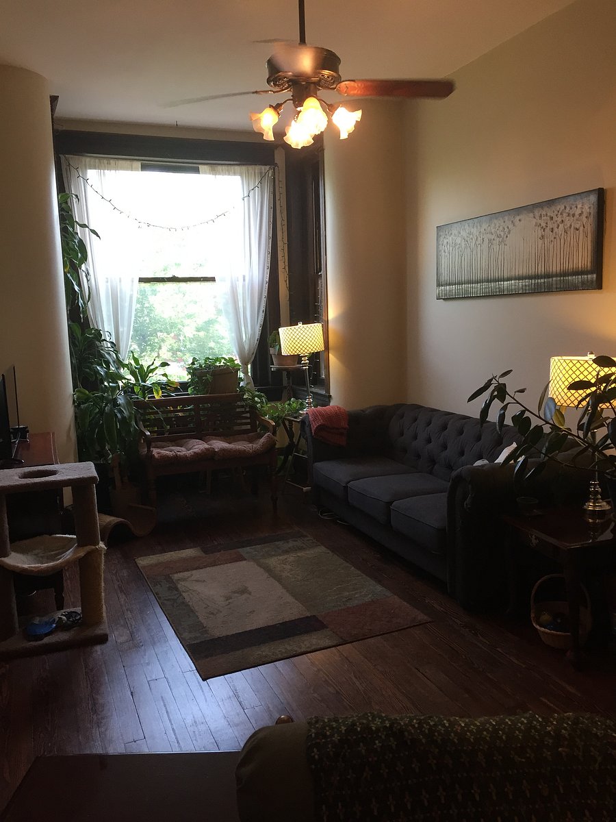 Furnished Finder property 1053134_1 photo 3