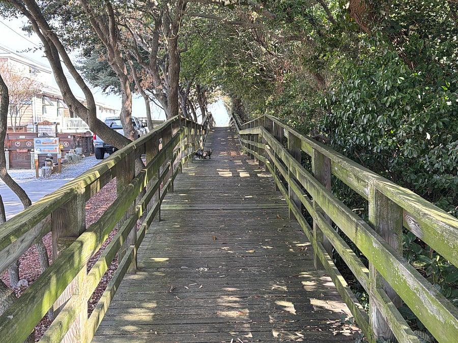 The walkway to the beach is next to the house.