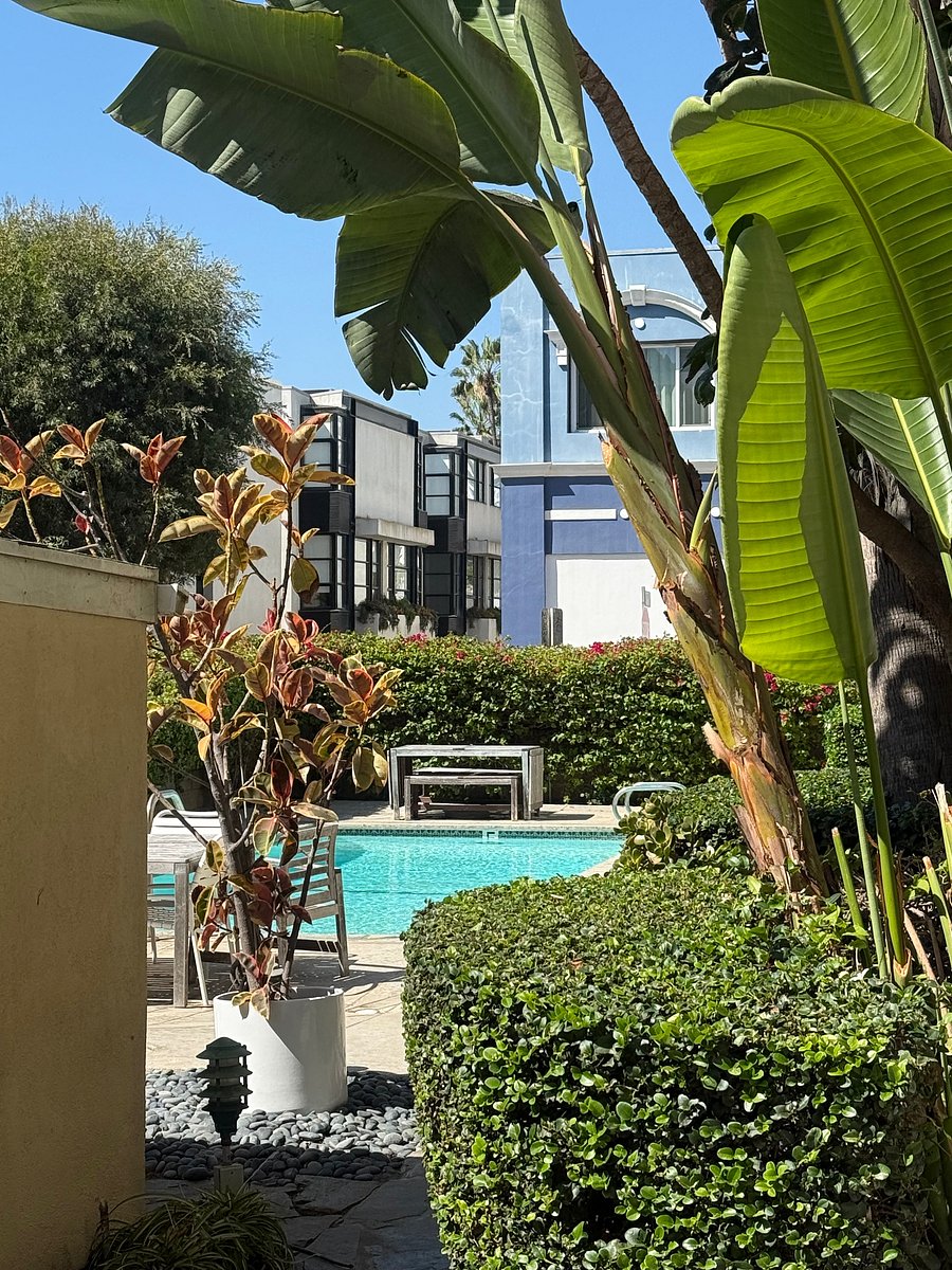 Furnished Finder property 1053262_1 photo 19