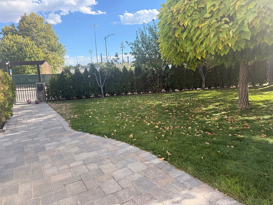 Furnished Finder property 1053378_1 photo 10