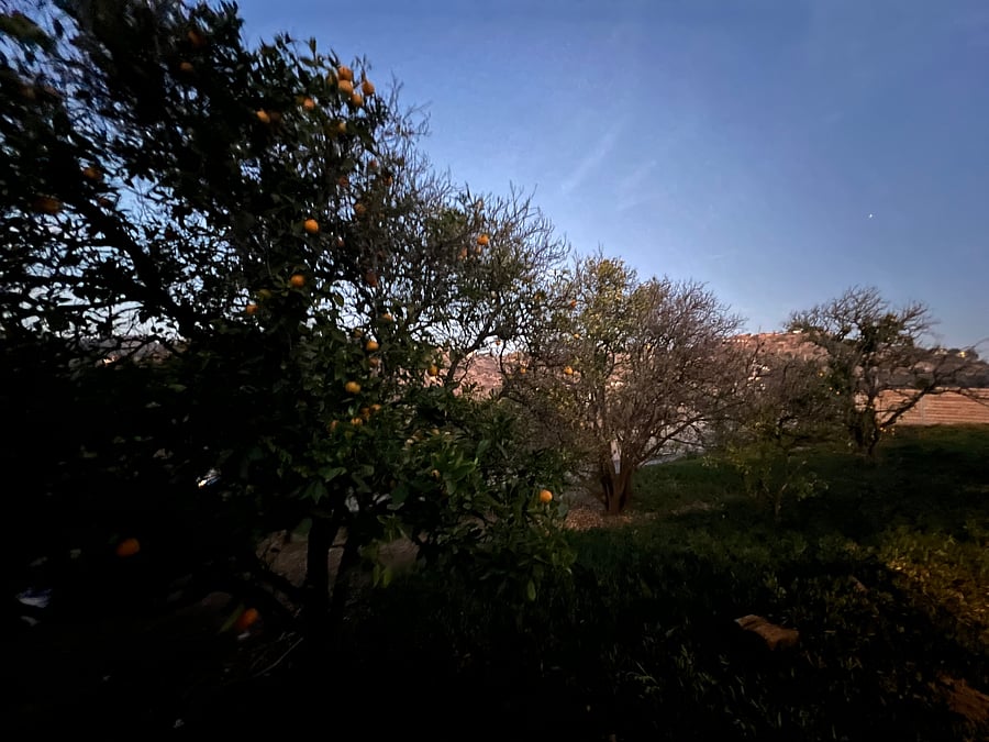 Furnished Finder property 1053513_1 photo 9