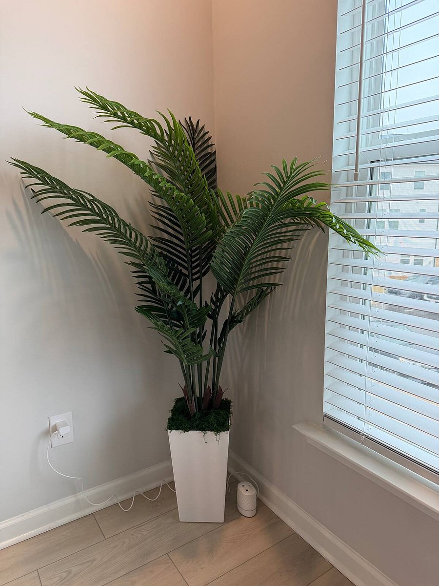 Furnished Finder property 1053663_1 photo 6