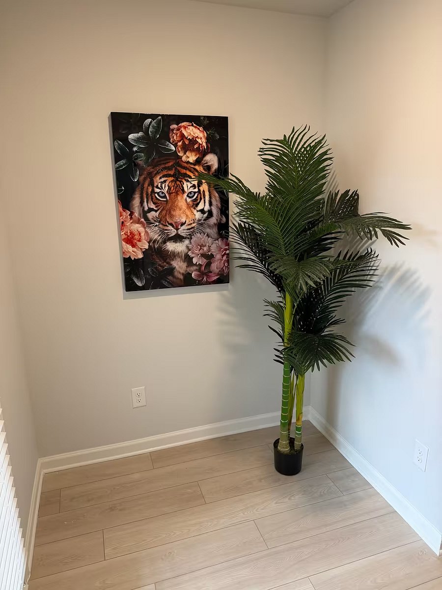 Furnished Finder property 1053663_1 photo 11