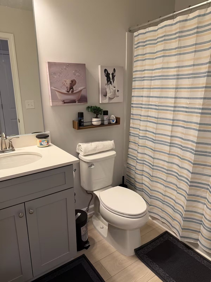 Furnished Finder property 1053663_1 photo 51