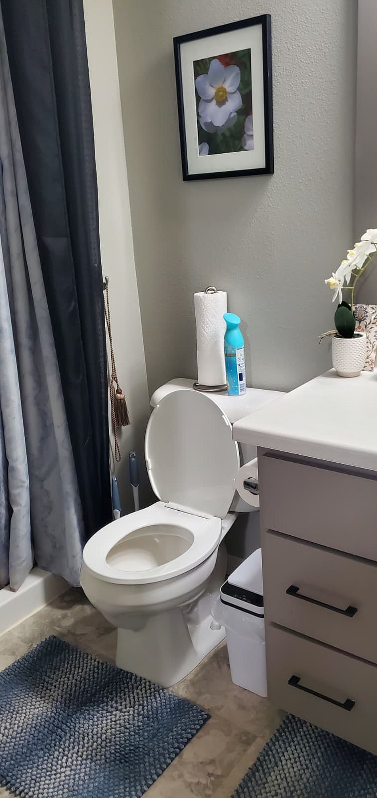 Furnished Finder property 1053673_1 photo 7