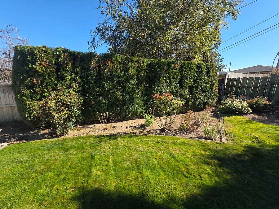 Furnished Finder property 1053700_1 photo 17