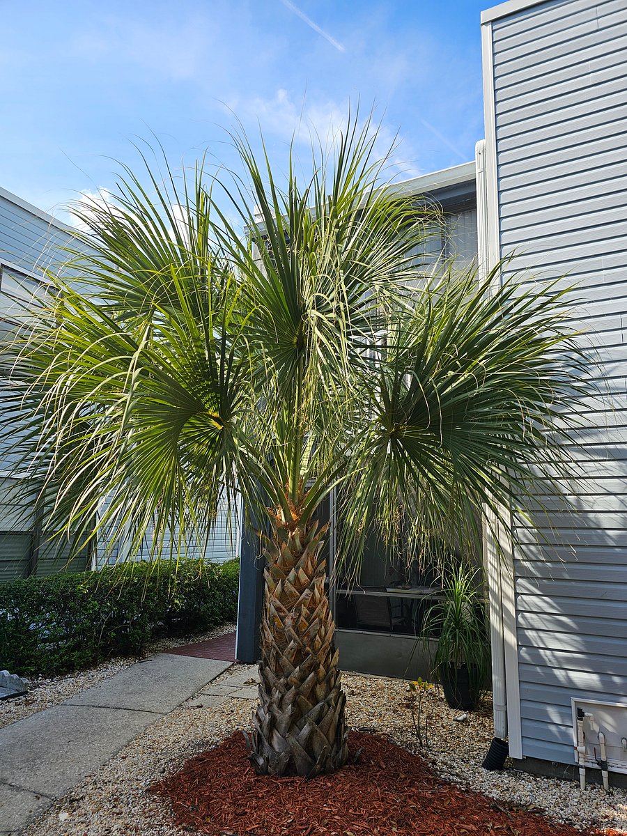 Furnished Finder property 1053730_1 photo 26