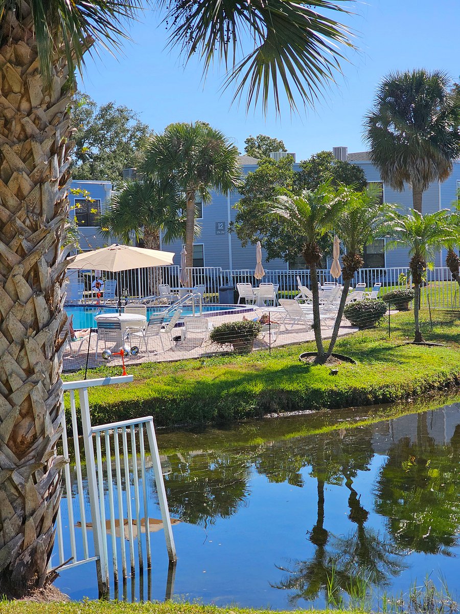 Furnished Finder property 1053730_1 photo 31