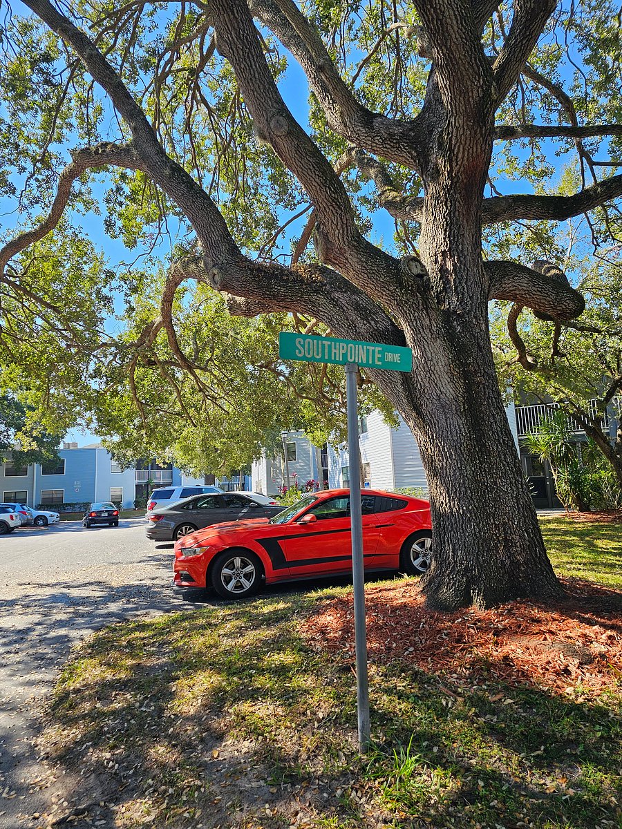 Furnished Finder property 1053730_1 photo 39