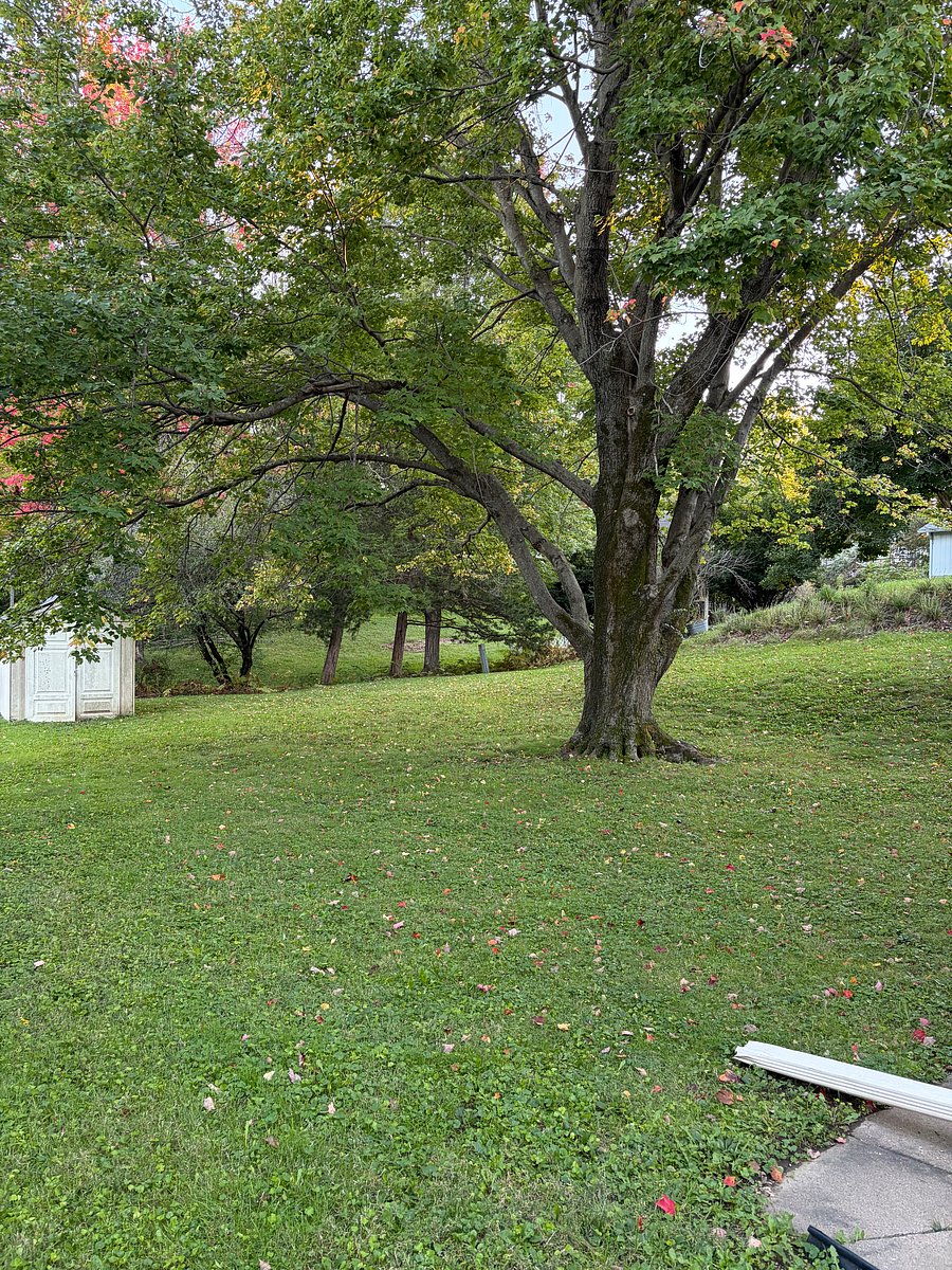 Furnished Finder property 1053743_1 photo 11