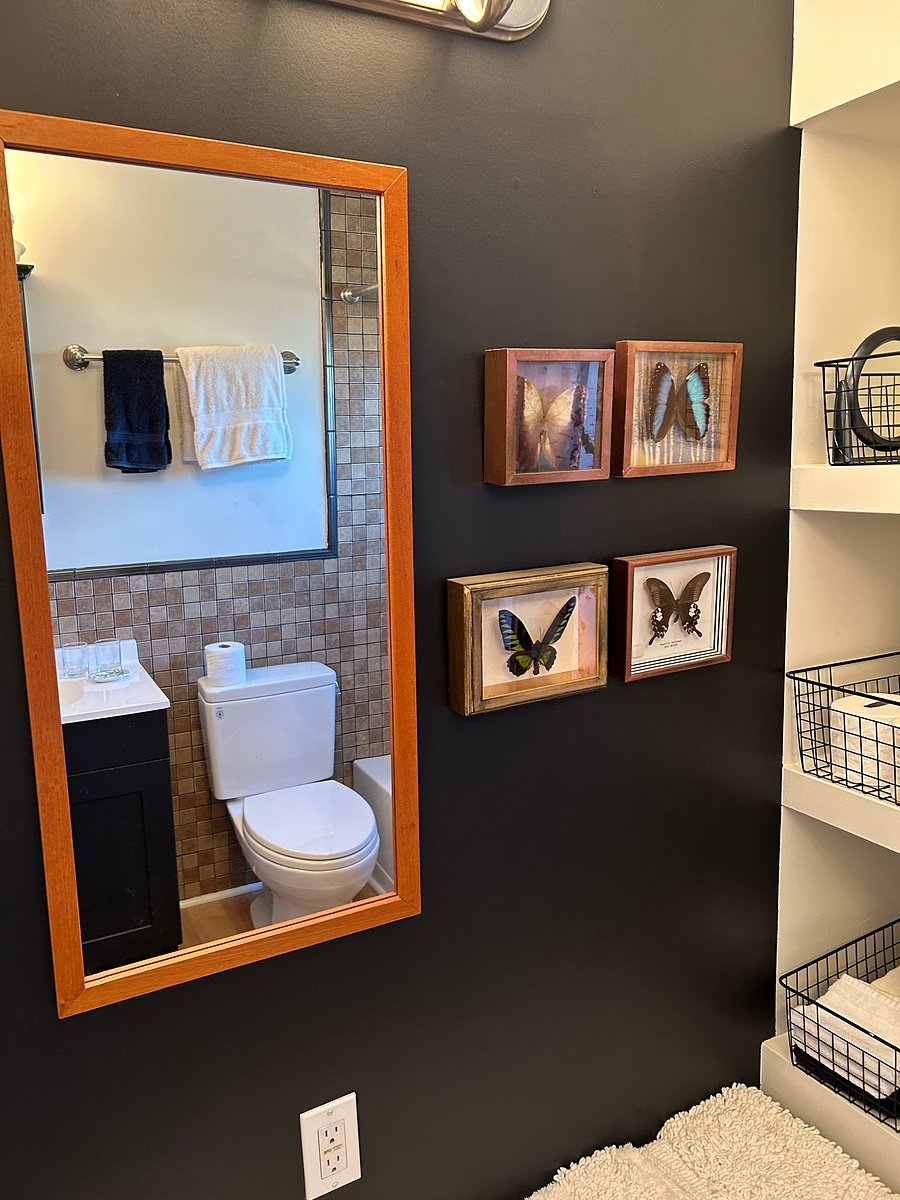 Furnished Finder property 1053823_1 photo 13