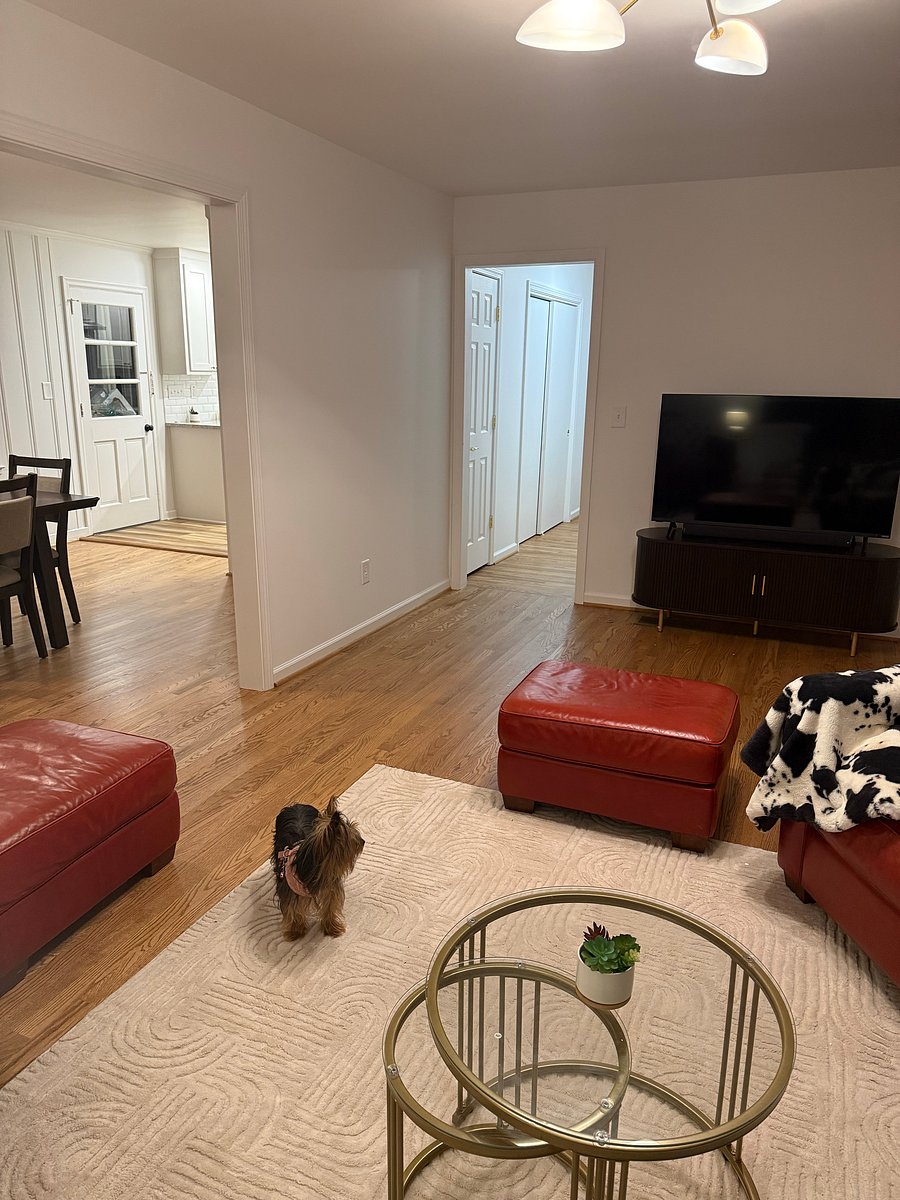 Furnished Finder property 1053960_1 photo 8