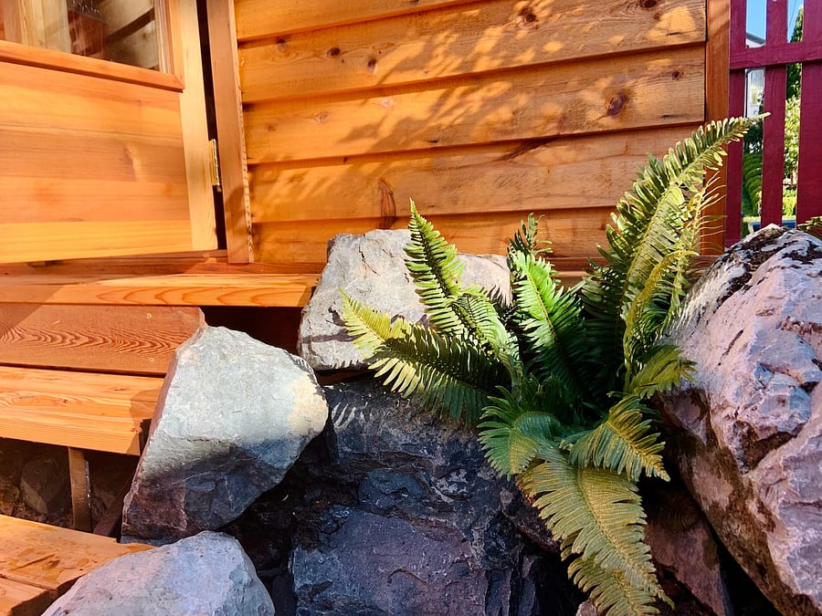 As pacific northwest fern enthusiasts, our garden has over 20 varieties of ferns. The hope is that you feel like you are somewhere in the north cascades without having to make the drive.