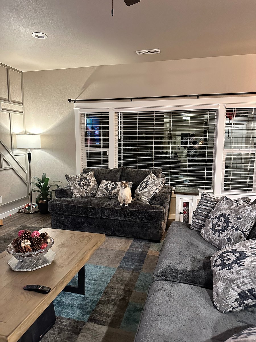 Furnished Finder property 1053988_1 photo 6