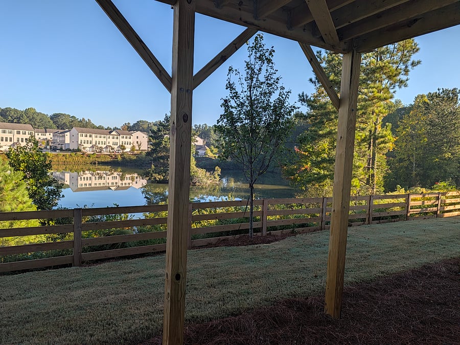 view to the lake in the early morning, birds chirping