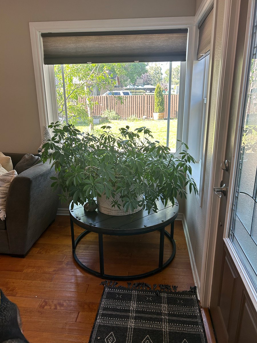 Furnished Finder property 1054035_1 photo 6