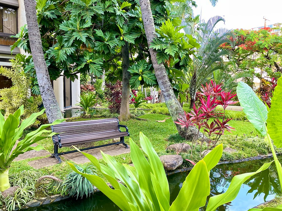 Furnished Finder property 1054190_1 photo 11