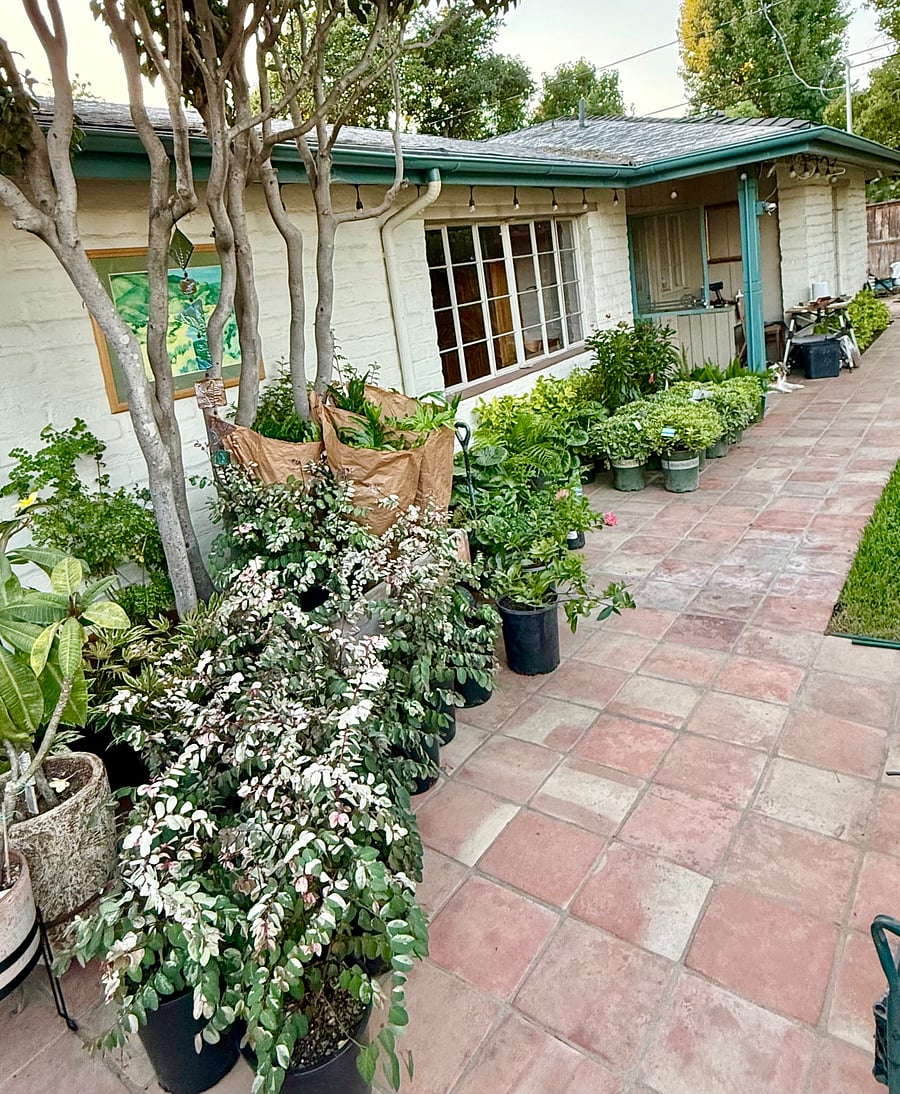 Furnished Finder property 1054365_1 photo 11