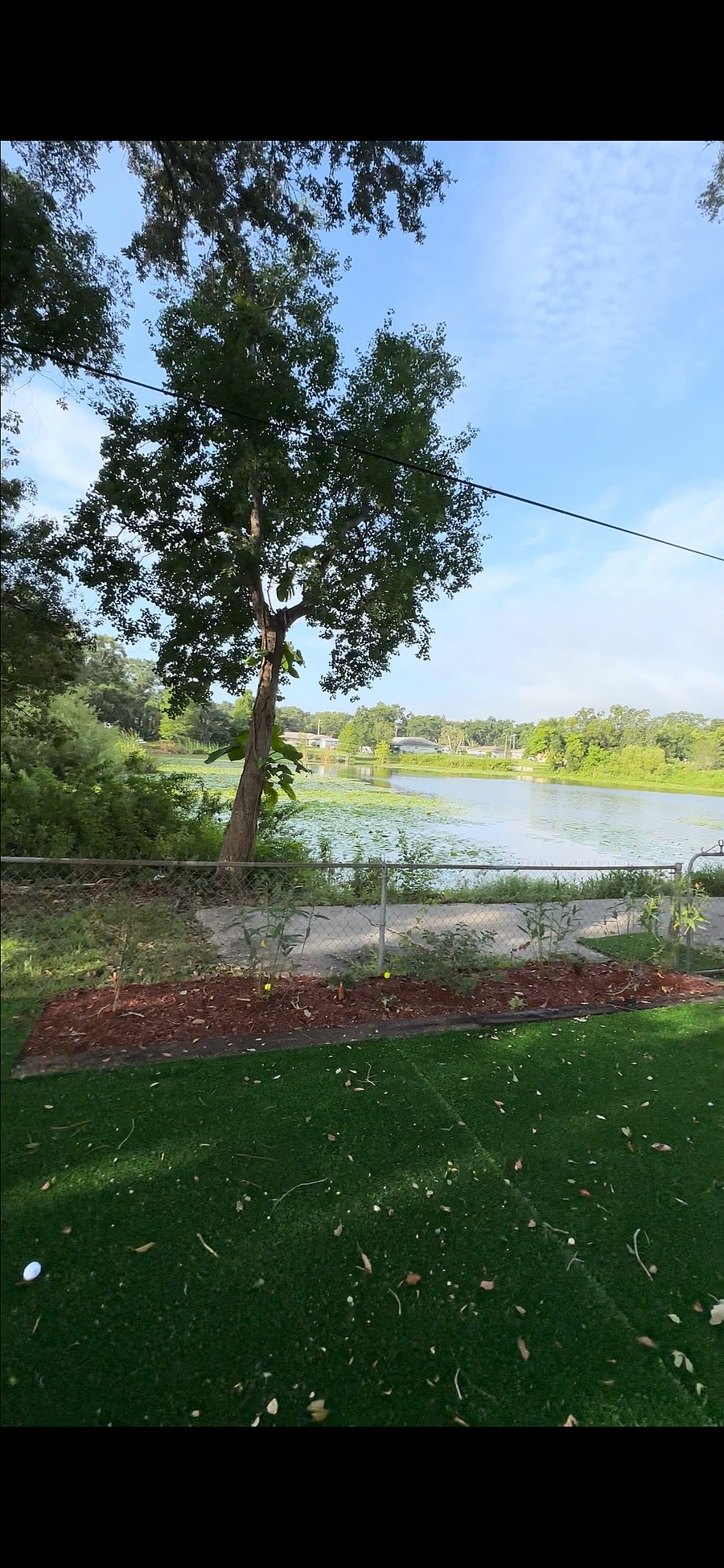 Furnished Finder property 1054444_1 photo 15