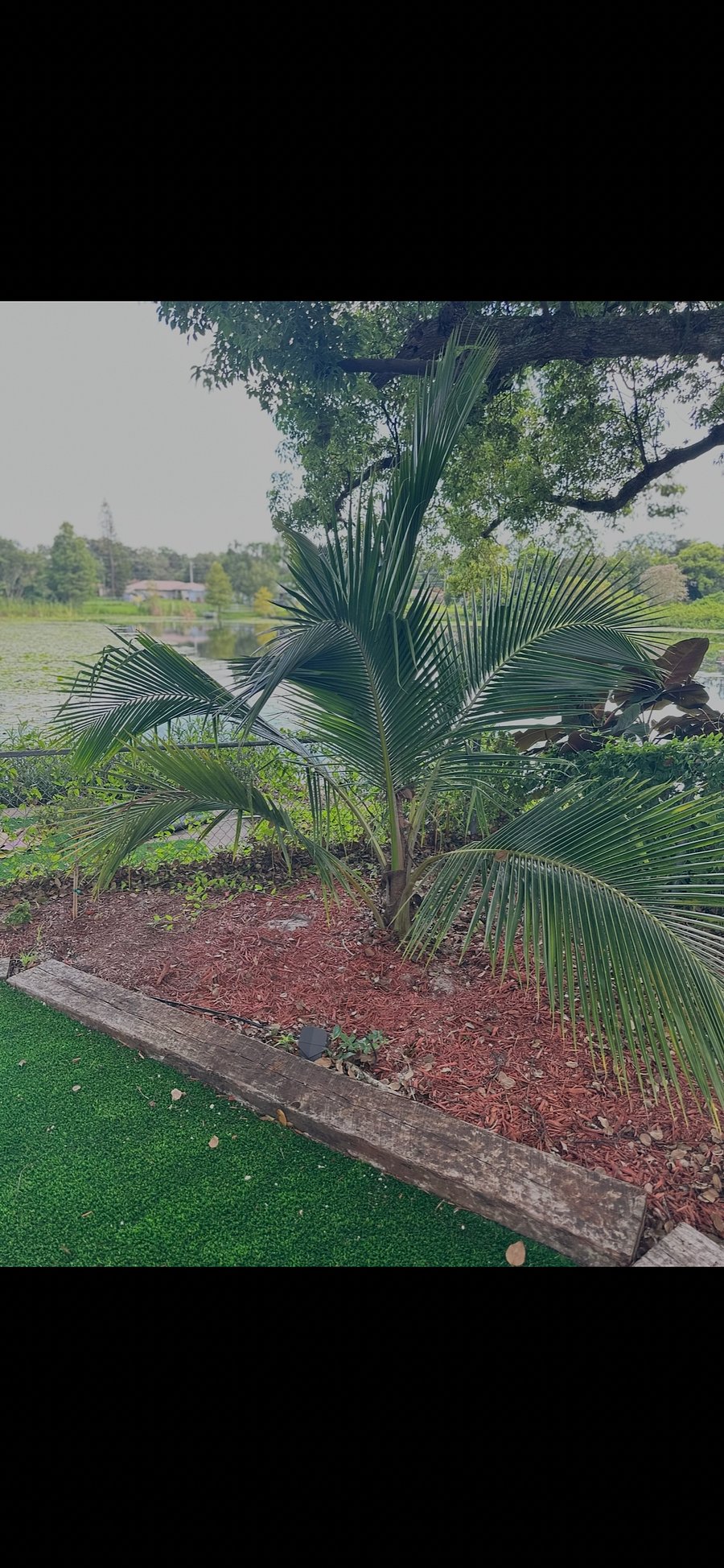 Furnished Finder property 1054444_1 photo 20