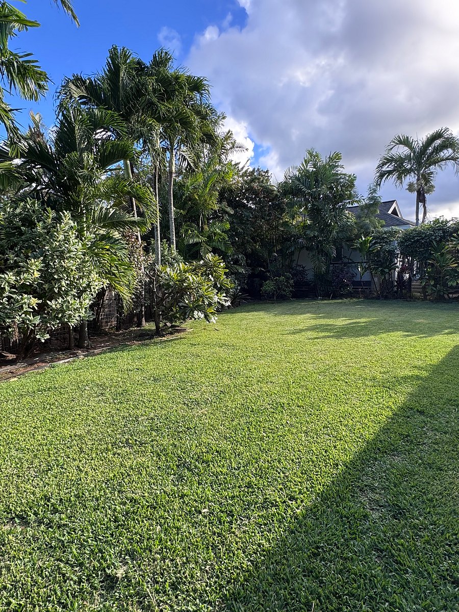 Furnished Finder property 1054511_1 photo 17