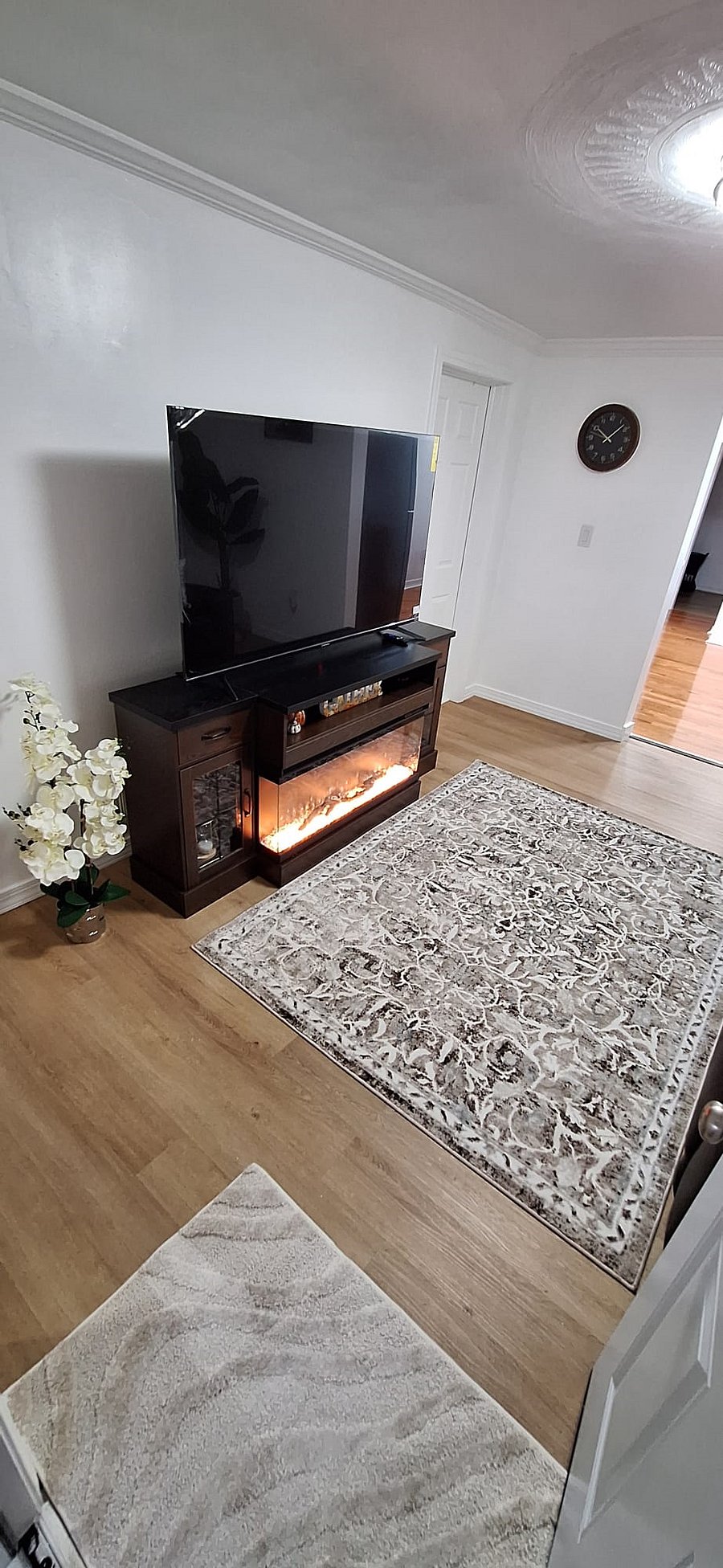 Furnished Finder property 1054690_1 photo 3