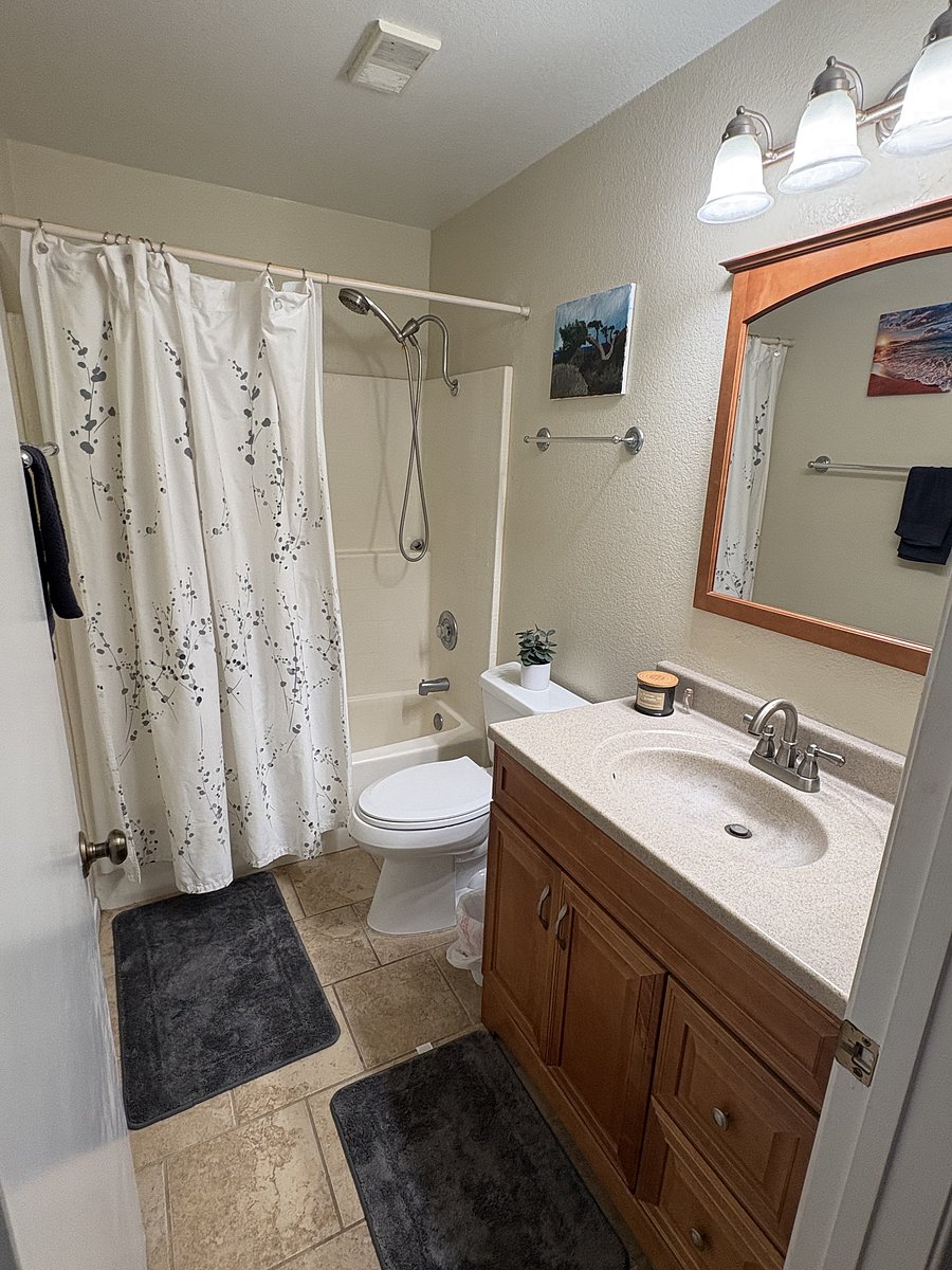 Furnished Finder property 1054698_1 photo 15