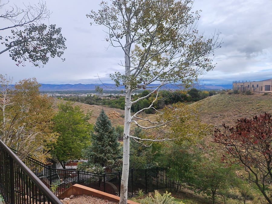 Furnished Finder property 1054709_1 photo 11
