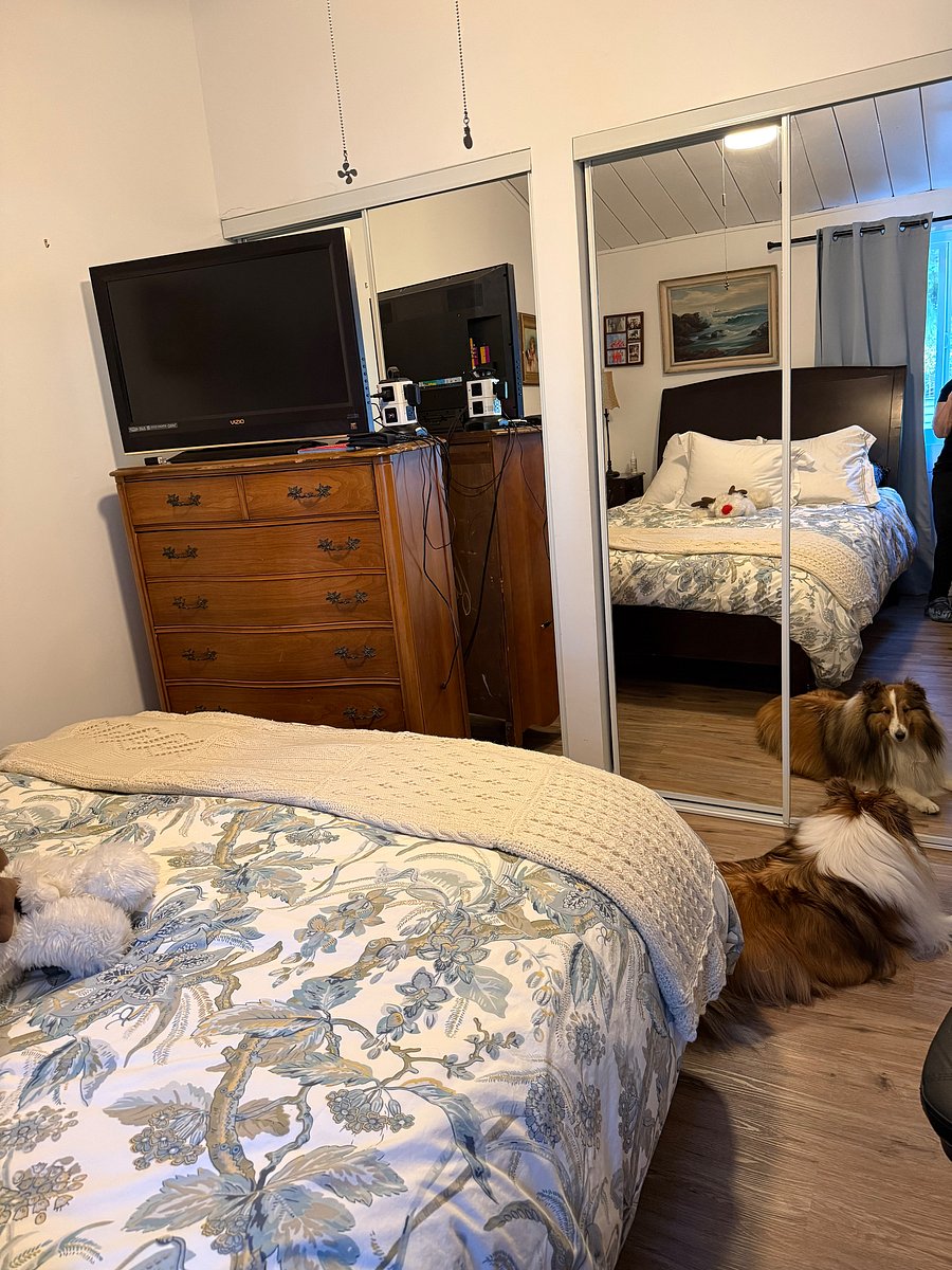 Furnished Finder property 1054866_1 photo 11