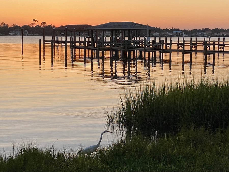 Serene view on the Hallifax River