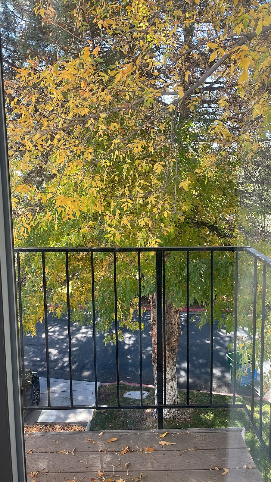 Furnished Finder property 1055174_1 photo 4