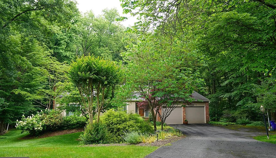 Furnished Finder property 1055190_1 photo 9