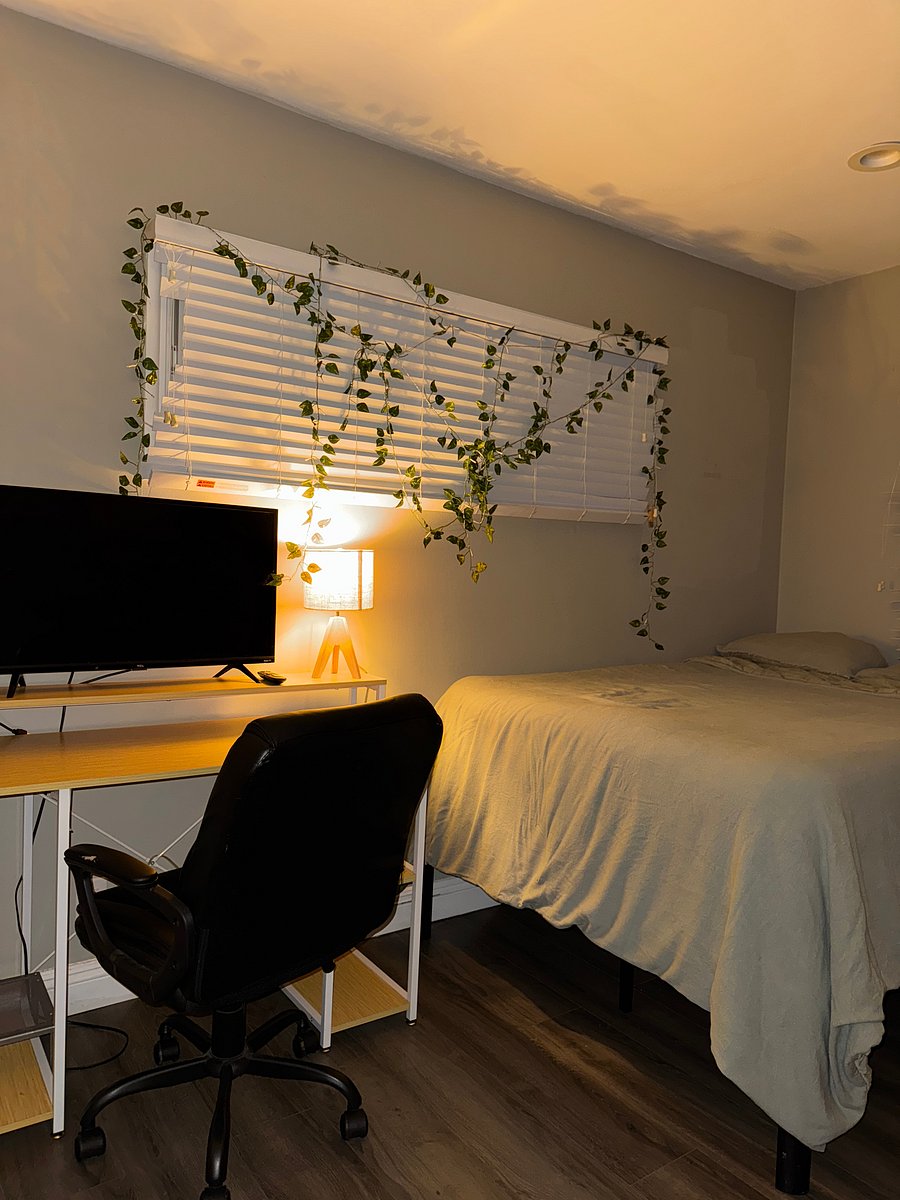Furnished Finder property 1055240_1 photo 14