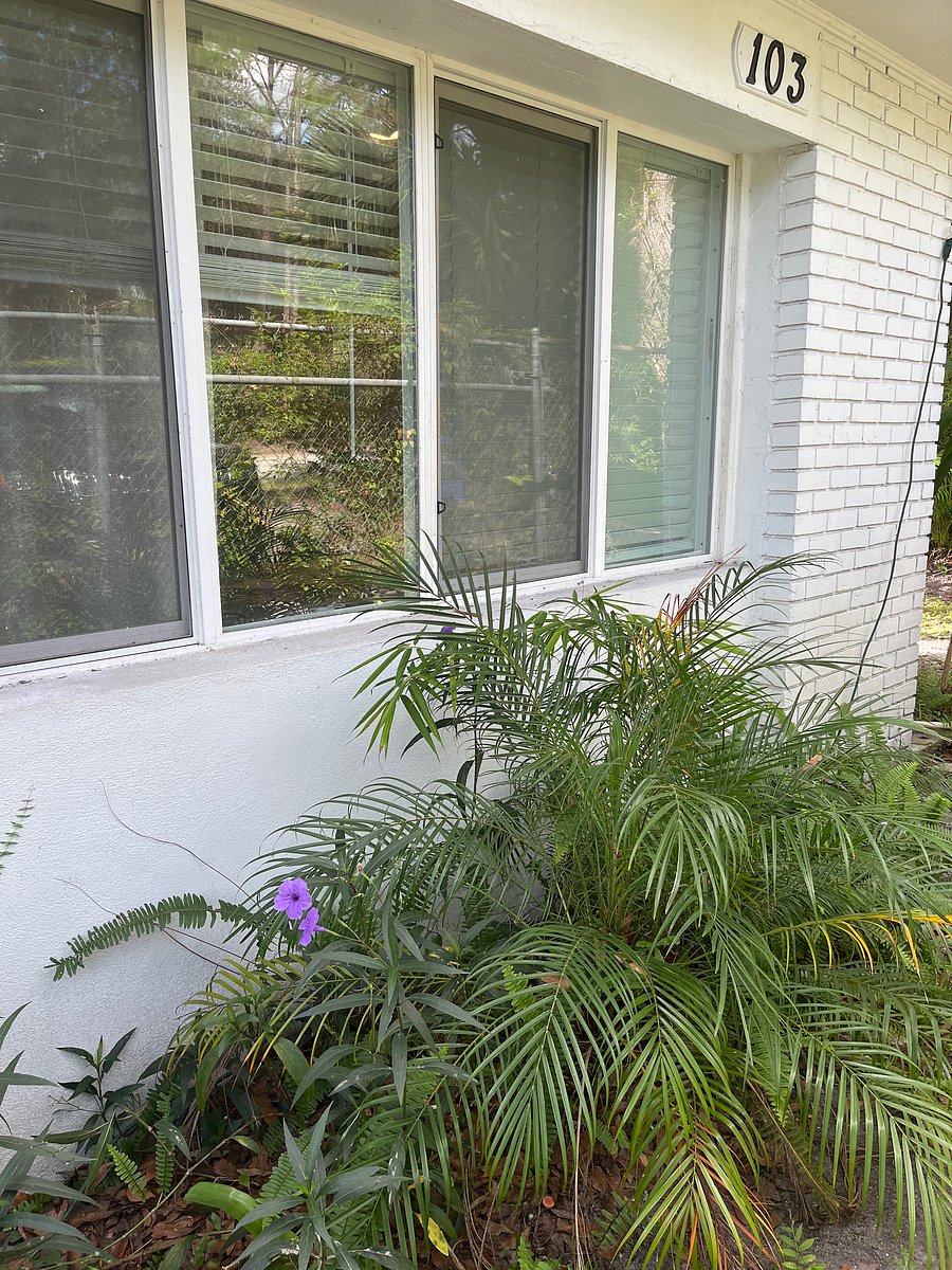 Furnished Finder property 1055309_1 photo 15