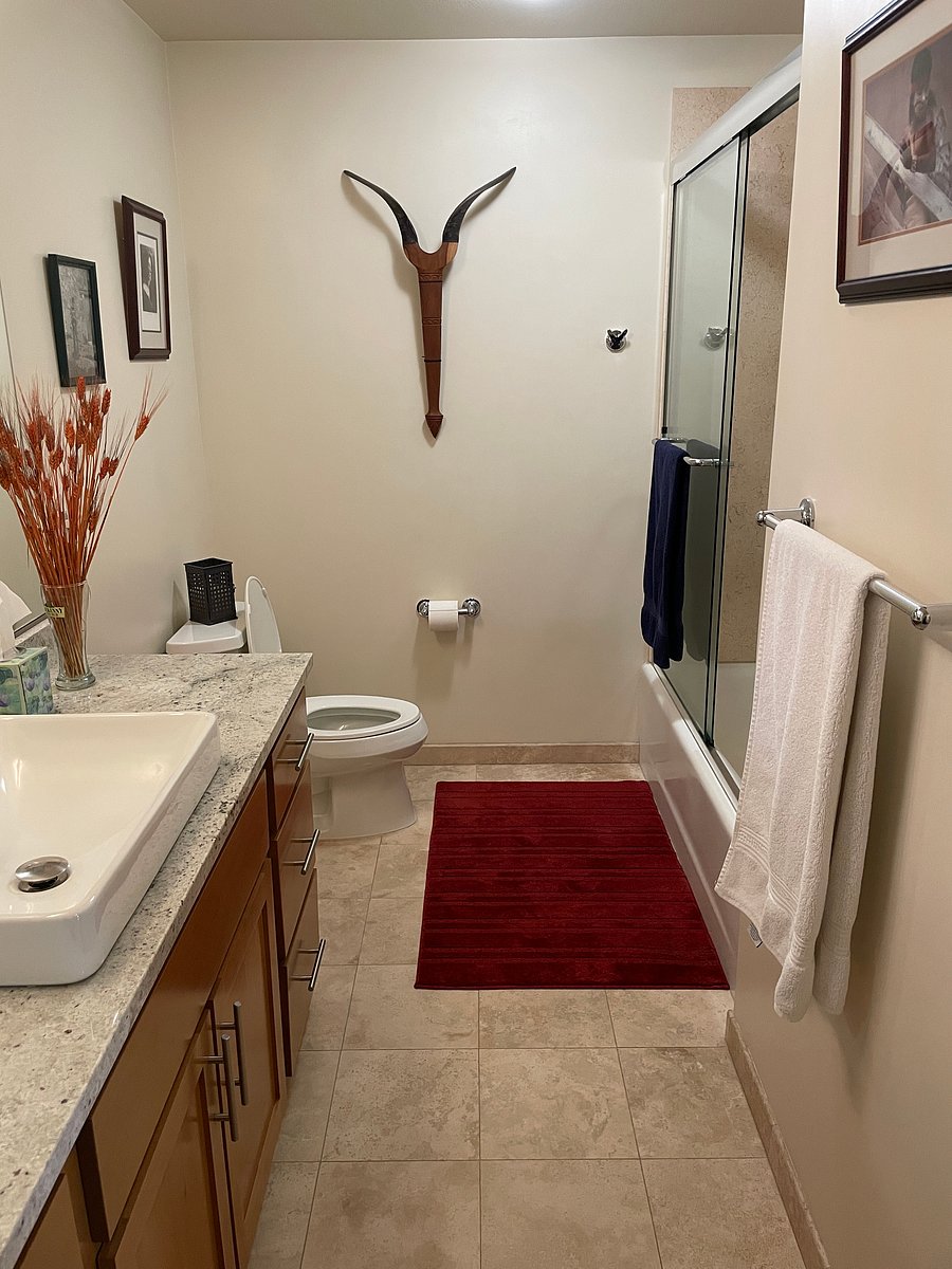Furnished Finder property 1055369_1 photo 11