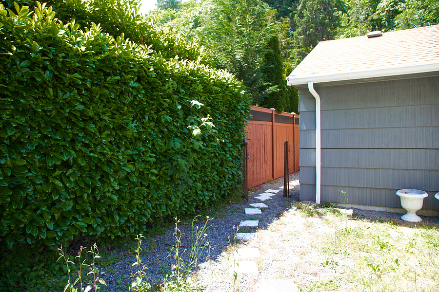 Furnished Finder property 1055397_1 photo 27
