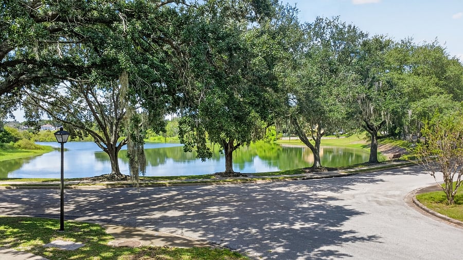 Furnished Finder property 1055538_1 photo 67