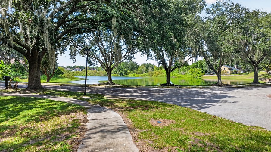 Furnished Finder property 1055538_1 photo 73