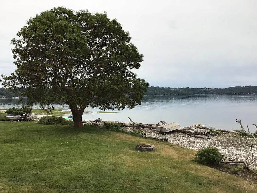 Furnished Finder property 1055542_1 photo 27
