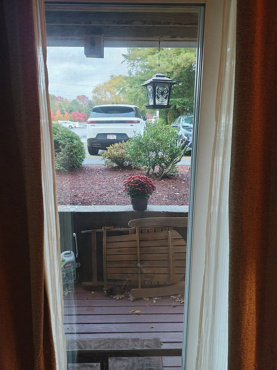 Furnished Finder property 1055553_1 photo 13