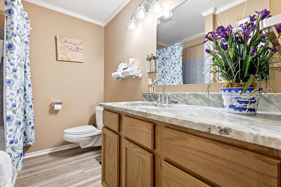 Furnished Finder property 1055560_1 photo 19