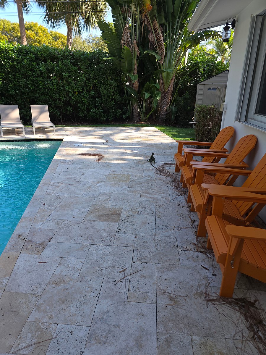 Furnished Finder property 1055566_1 photo 15