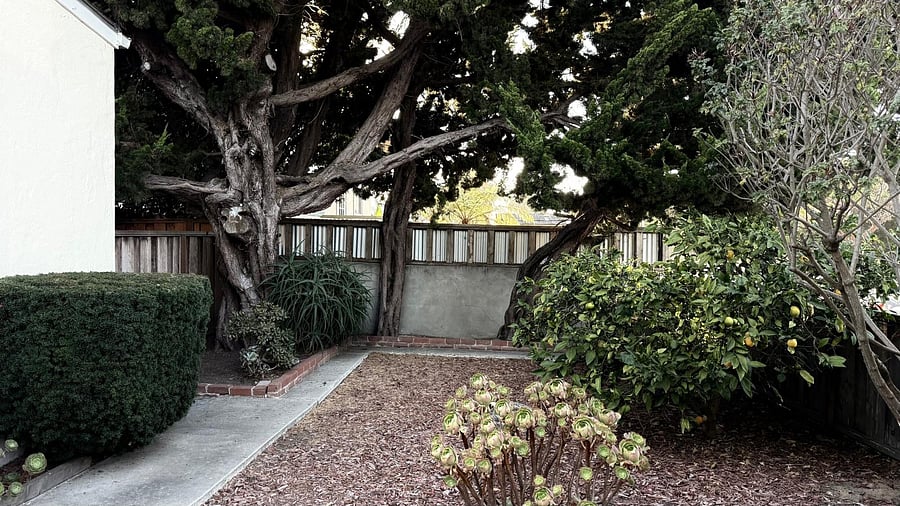 Furnished Finder property 1055597_1 photo 29