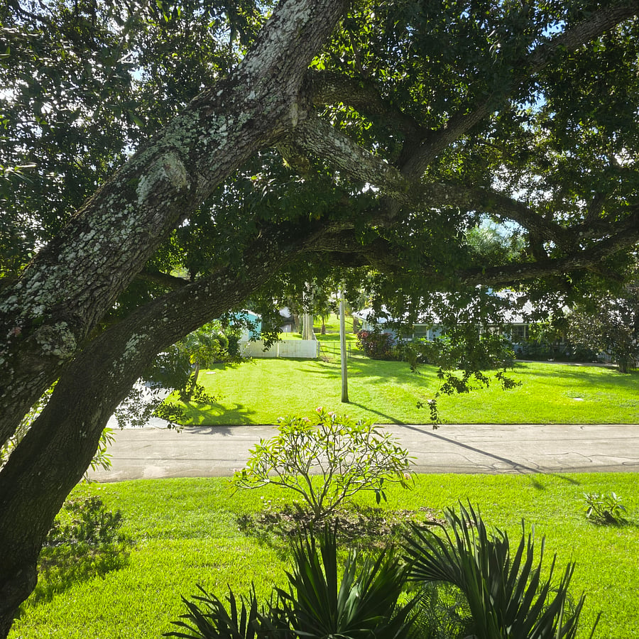 Furnished Finder property 1055790_1 photo 1