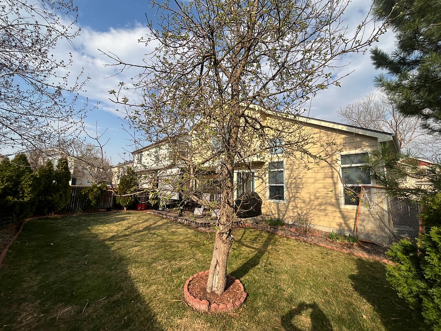 Furnished Finder property 1055814_1 photo 14