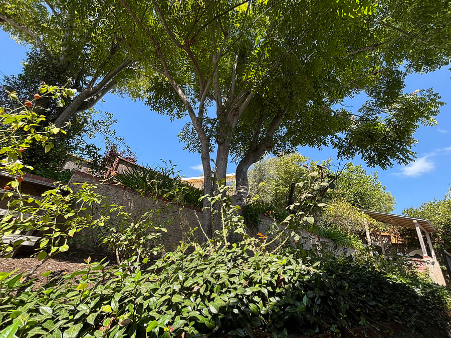 Furnished Finder property 1055893_1 photo 24