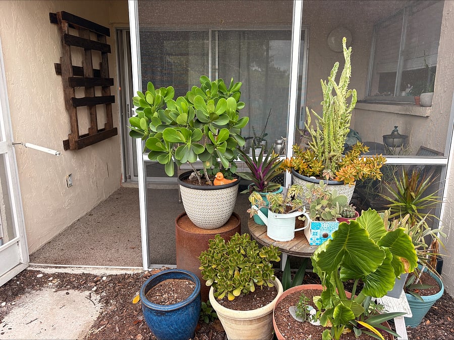 Furnished Finder property 1055916_1 photo 15