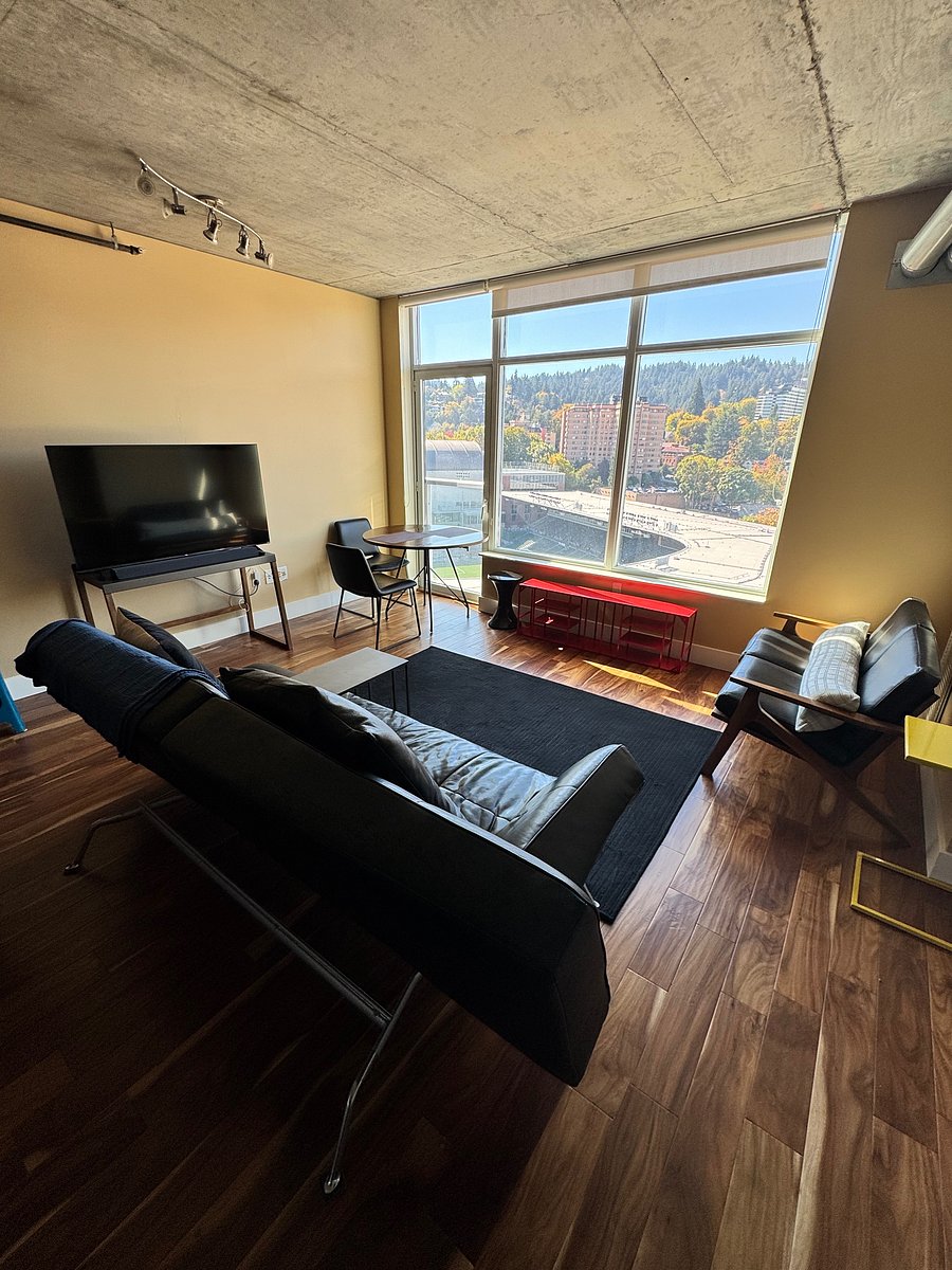 55 inch smart TV, Ligne Roset adjustable leather couch, Room & Board leather love seat, Schoolhouse pillows, wool rug.