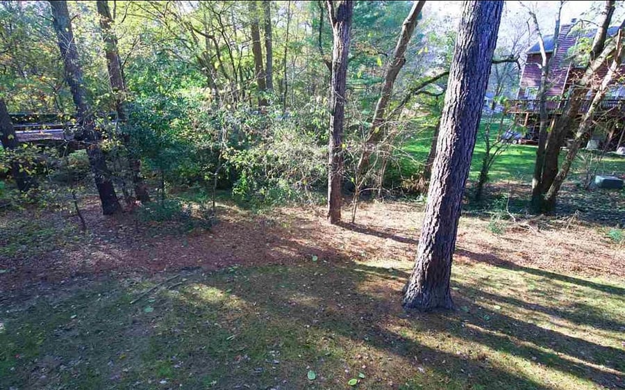 Furnished Finder property 1055988_1 photo 22